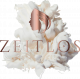 zeitlos-logo-ohne-namen-e1664094034878